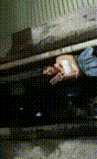 1 00_00_00-00_00_30.gif