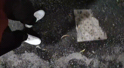 5 00_00_00-00_00_30.gif